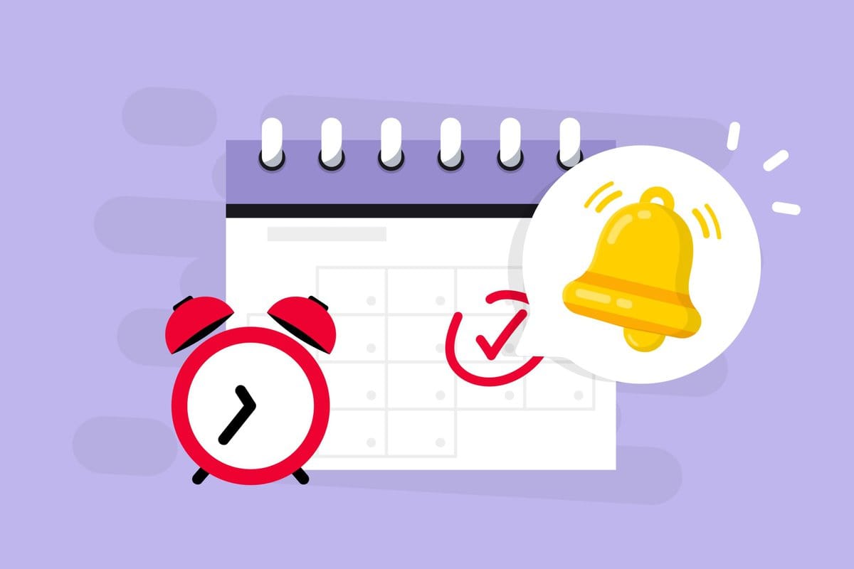 What is the Daily Bell Schedule in Schools